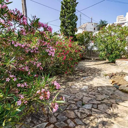 Cau Del Llop 70 - Bonito Con Jardin Apartment *